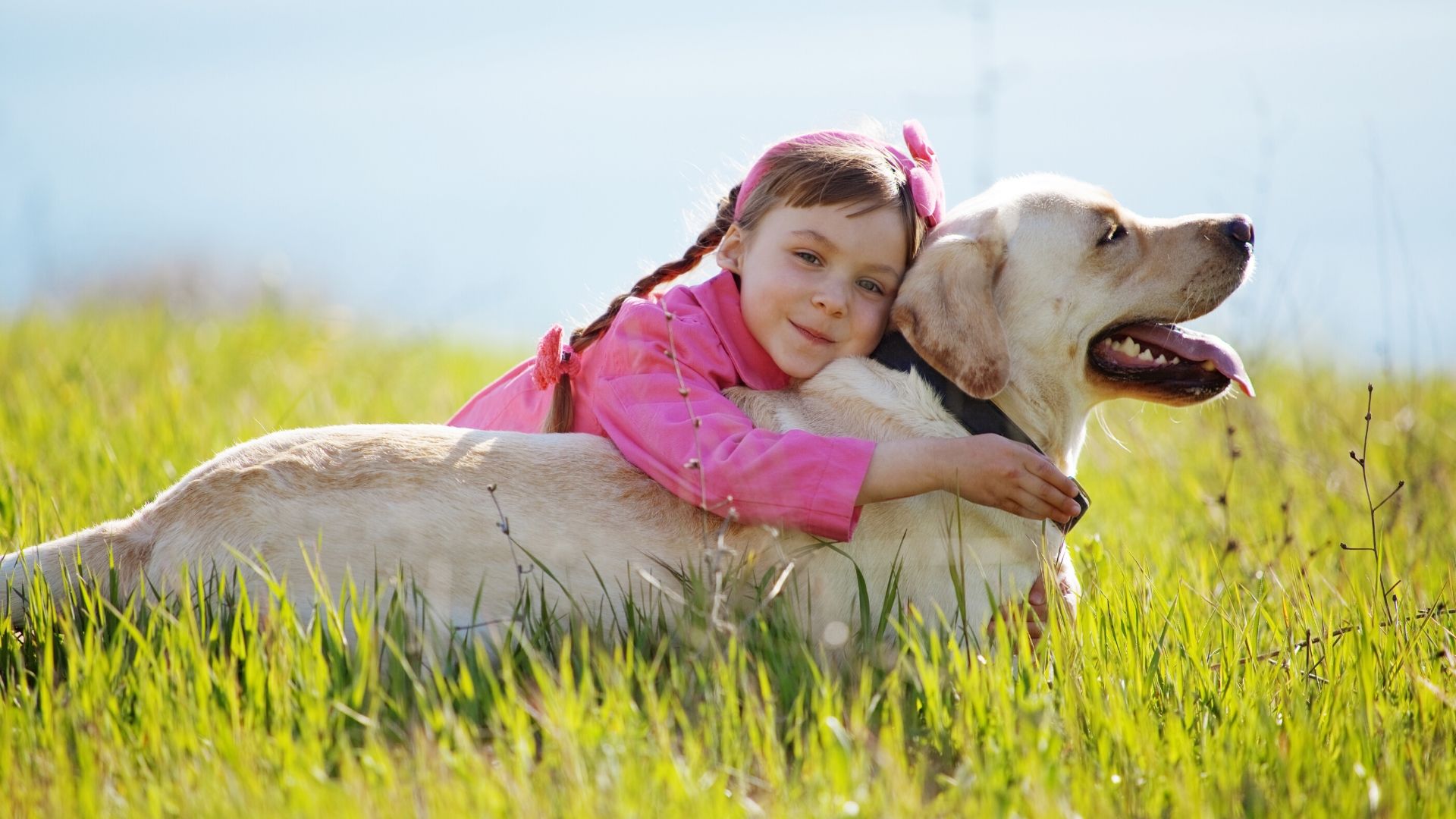 3 animaux parfaits pour les enfants - Mes Astuces Faciles