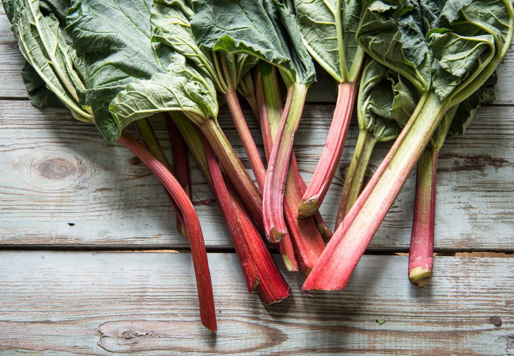 4 utilisations insolites des feuilles de rhubarbe - Mes Astuces Faciles