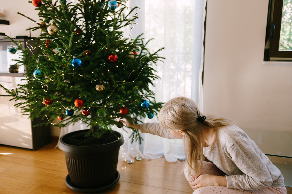 5 astuces pour faire durer votre sapin de Noël plus longtemps - Page 2